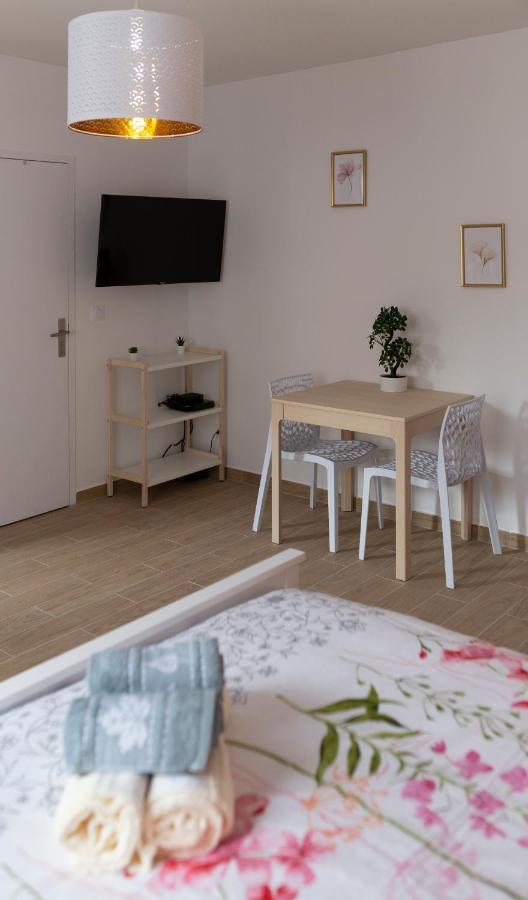 Apartamento Loc Trotteur Le Pivoine Studio Grand Confort, Gare Sncf De Lourdes Exterior foto