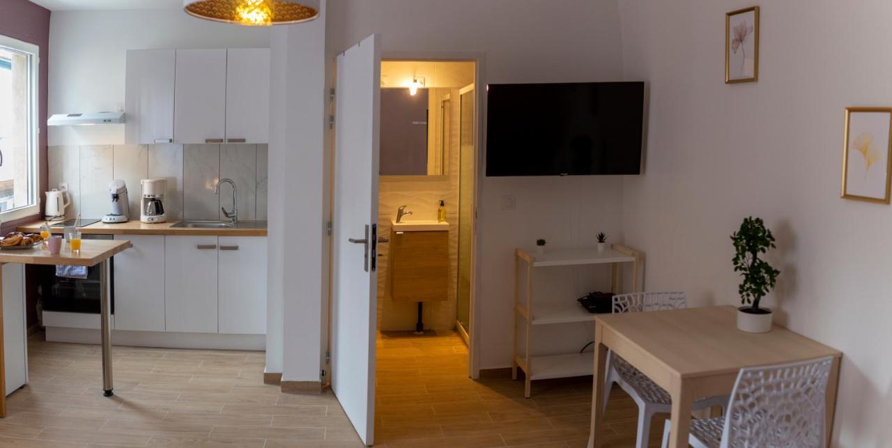 Apartamento Loc Trotteur Le Pivoine Studio Grand Confort, Gare Sncf De Lourdes Exterior foto